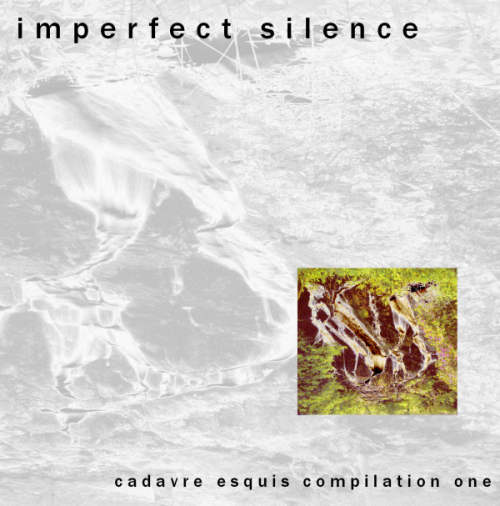 Imperfect Silence Cover